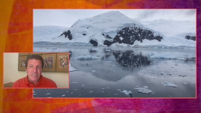 Los microplásticos llegan a la Antártida y a la dieta de los pingüinos