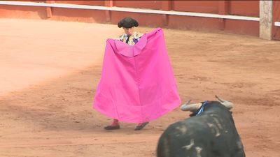 La Fundación Toro de Lidia irá a los tribunales por la exclusión de los toros del bono joven