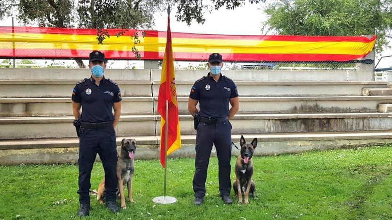 La Unidad Canina de Arroyomolinos realiza propuestas de sanción diarias por estupefacientes