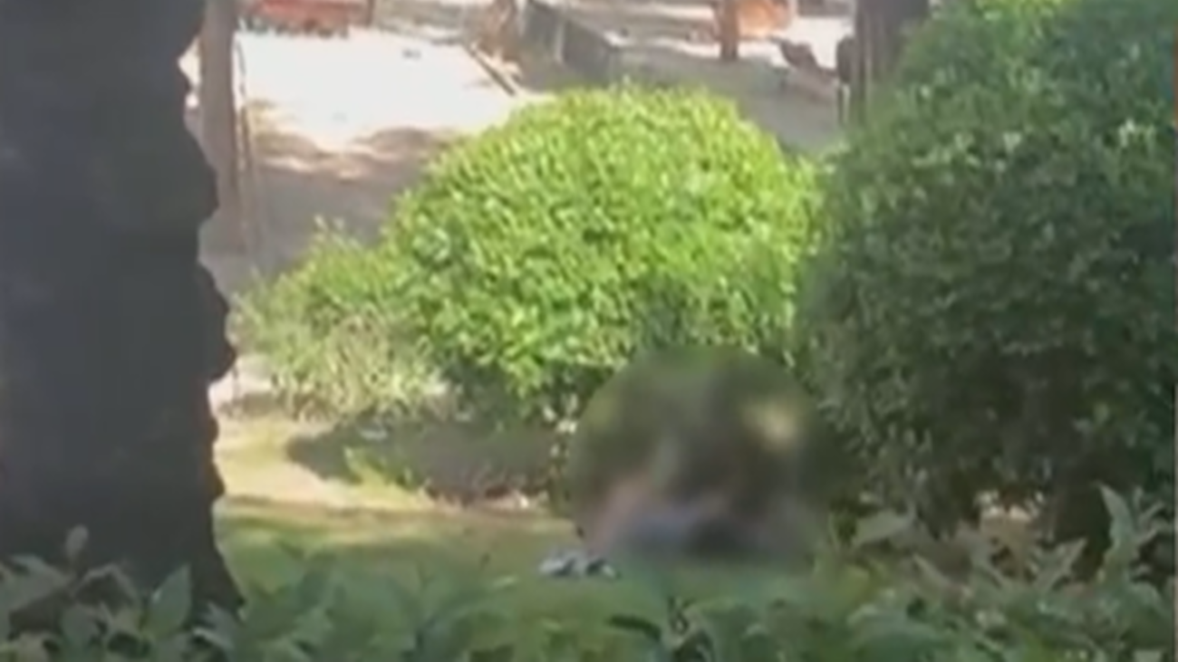 Buenos Días Madrid 30.07.2021 (8.00 - 9.00)