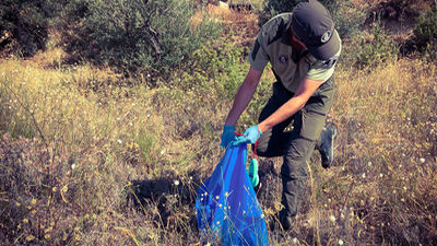 Hallan los cadáveres de 15 cachorros y 87 perros heridos en una finca de Torrelaguna