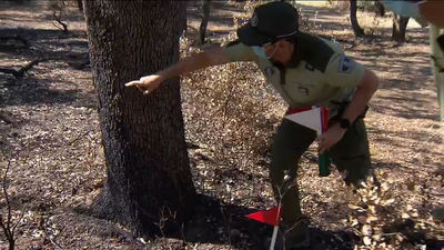 Así trabajan los agentes forestales para detectar el origen y las causas de los incendios