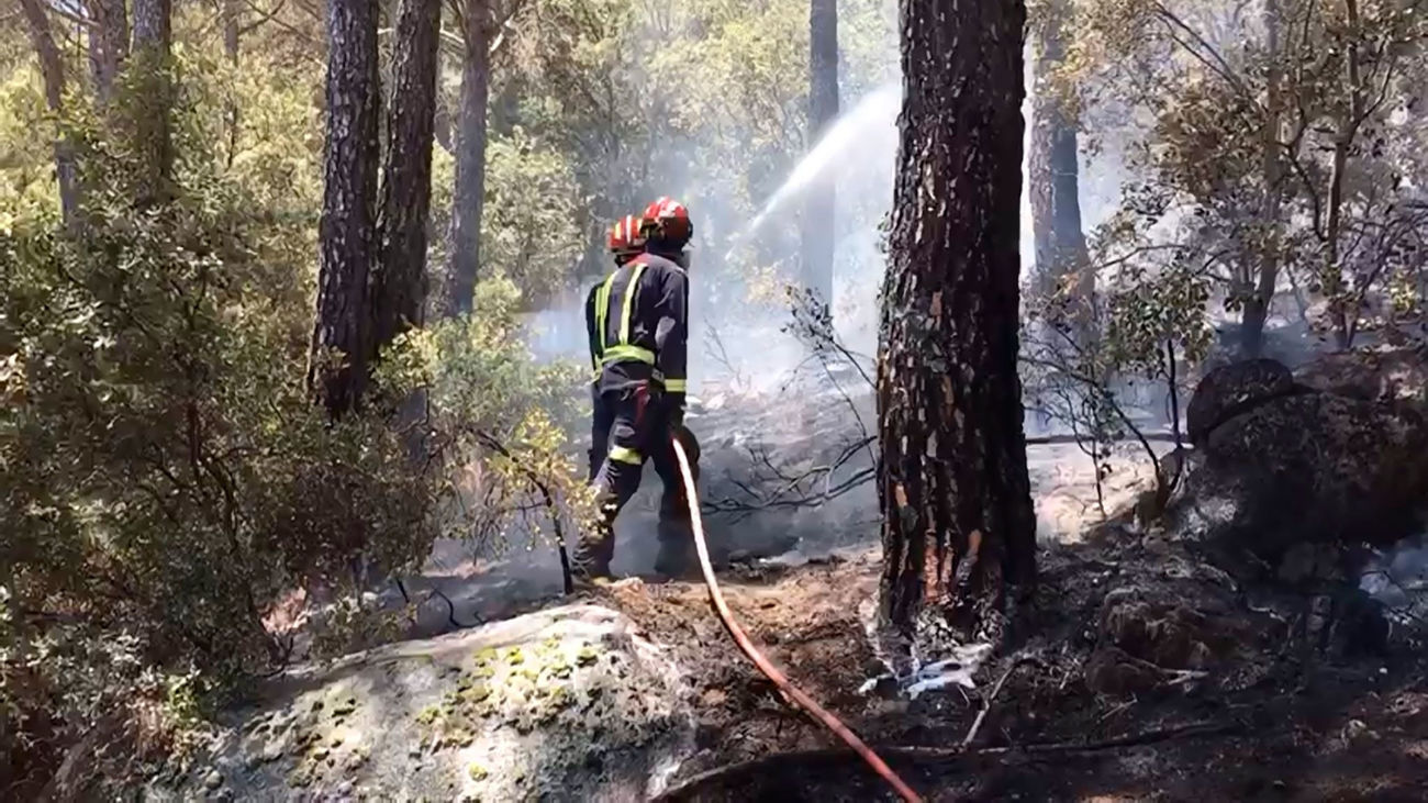 Medios aéreos se suman a extinción incendio en el pantano de San Juan