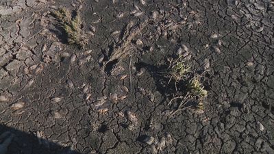 Los vecinos de Sanchinarro denuncian el abandono del parque de la Ría