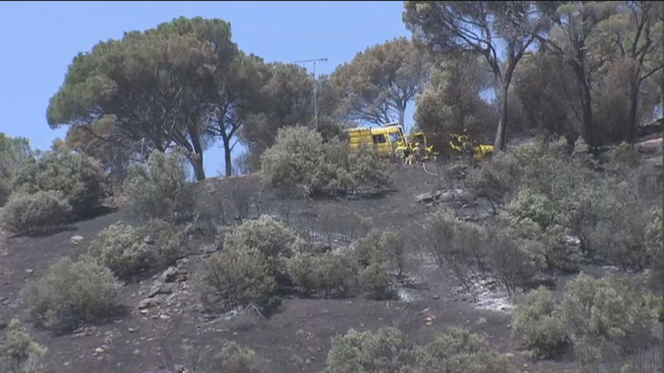 Buenos Días Madrid 02.08.2021 (8.00 - 9.00)