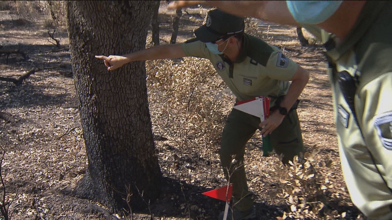 Así investigan el origen de los incendios ‘los CSI del fuego’