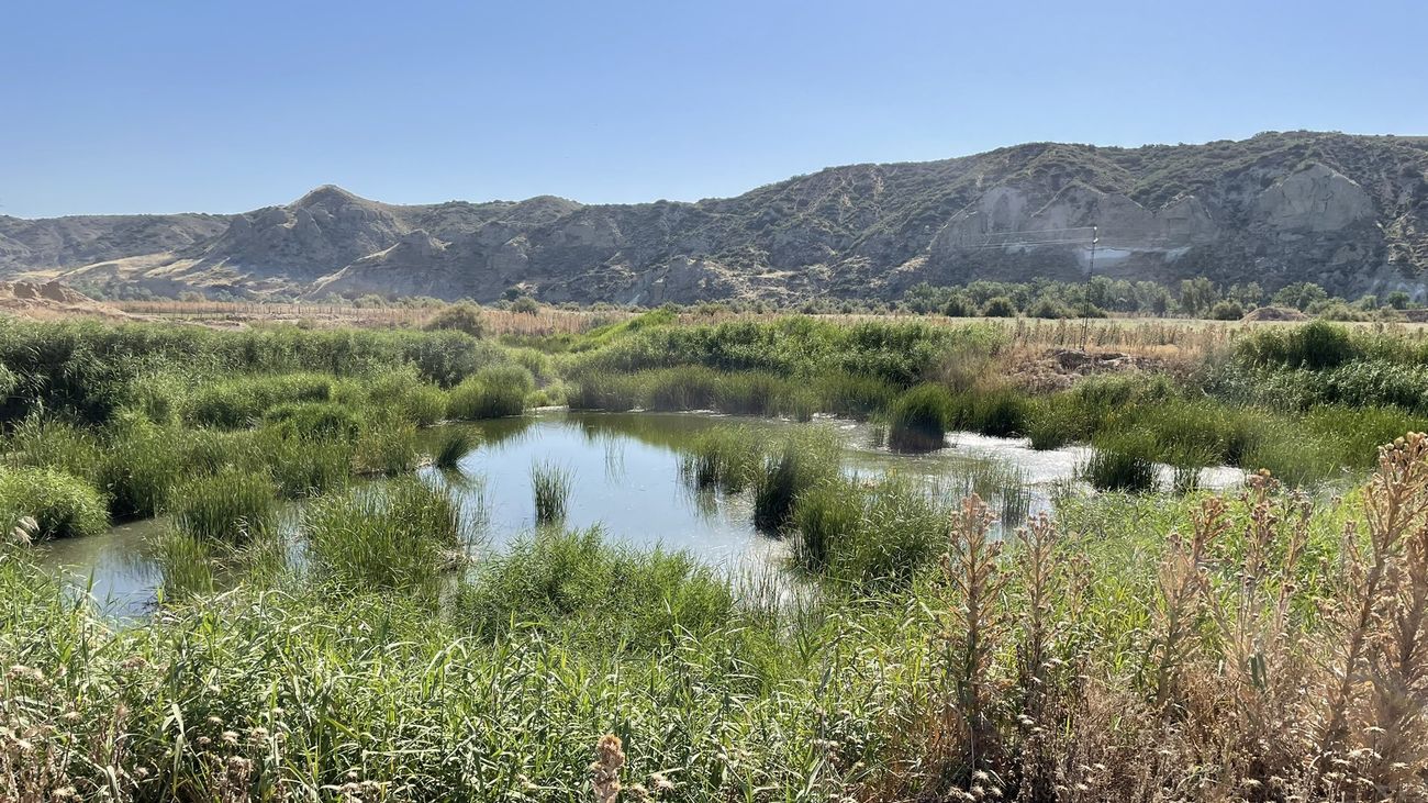 El Soto Gutiérrez, en Ciempozuelos