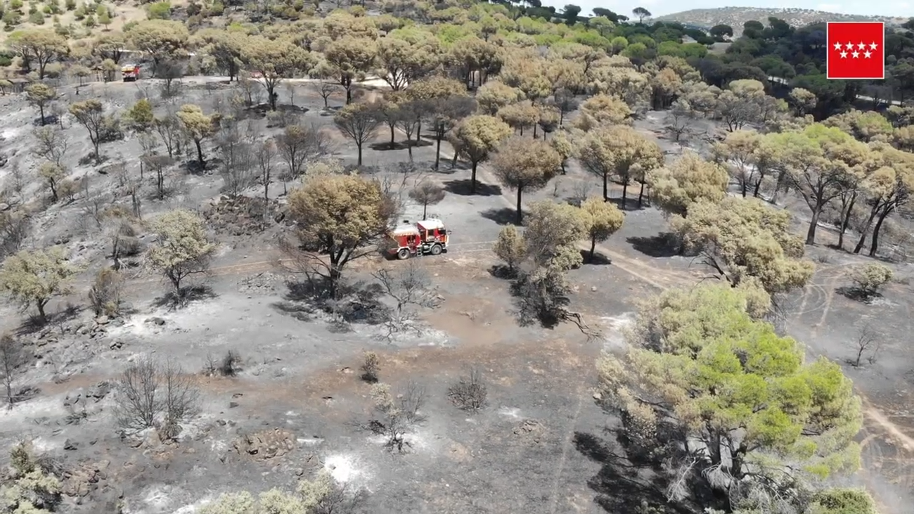 Las consecuencias del incendio del pantano de San Juan, a vista de pájaro