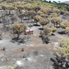 Las consecuencias del incendio del pantano de San Juan, a vista de pájaro