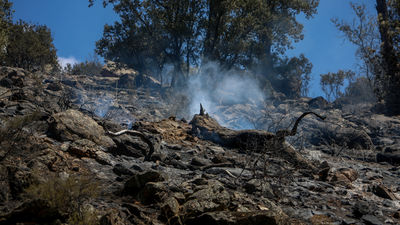 Fase final para 'rematar' el incendio en el pantano de San Juan