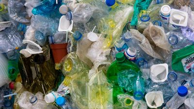 ¿Cuál es la multa por tirar basura a la calle en Madrid?