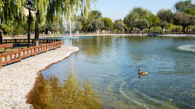 Valdemoro cierra desde este martes los parques durante la madrugada