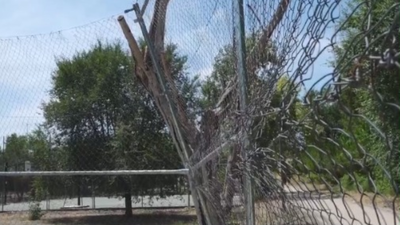 Denuncian el pésimo estado de las instalaciones deportivas en Coslada