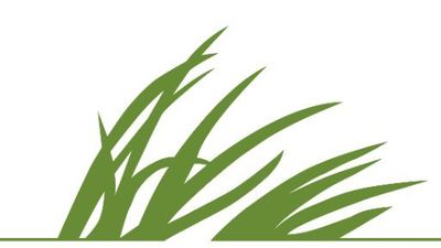 La Fundación Biodiversidad ofrece formación a mil emprendedores de la economía verde