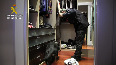 Operación Águila-Frazen: 27 detenidos de una red de tráfico de drogas en Madrid, Bilbao y Valladolid