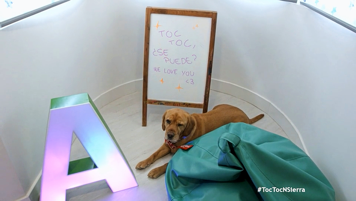 Cuarto de Adrián. Piso de Yolanda (Toc toc...¿se puede? - 34) / REDACCIÓN