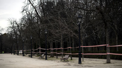 El Retiro y otros ocho parques de Madrid balizan zonas de 12.00 a 24:00 horas