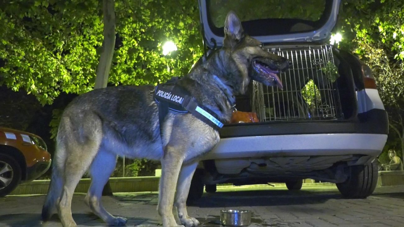 Pillado en un control de drogas por una pastor alemán en Ciempozuelos