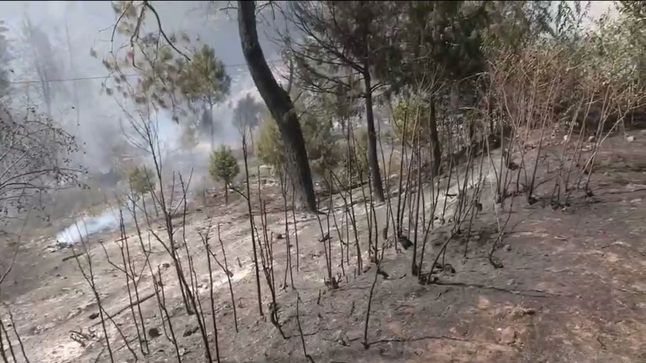 900 hectáreas afectadas por el incendio en el Tiemblo que se encuentra bajo control