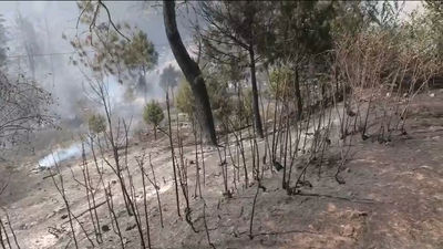 900 hectáreas afectadas por el incendio en el Tiemblo que se encuentra bajo control