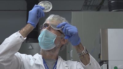 Inteligencia Artificial contra el cáncer