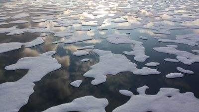 La ciencia admite que el cambio climático ya es irreversible