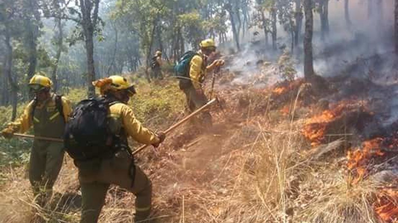 Oportunidad de empleo en Tragsa para el servicio de prevención extinción de incendios forestales en Madrid