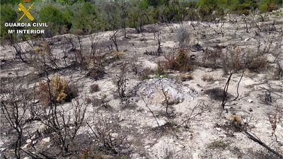 Más de 40.000 hectáreas forestales han ardido en España durante 2021