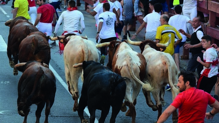 Sanse prepara sus fiestas lanzando 48 cohetes, uno por cada toro de los encierros