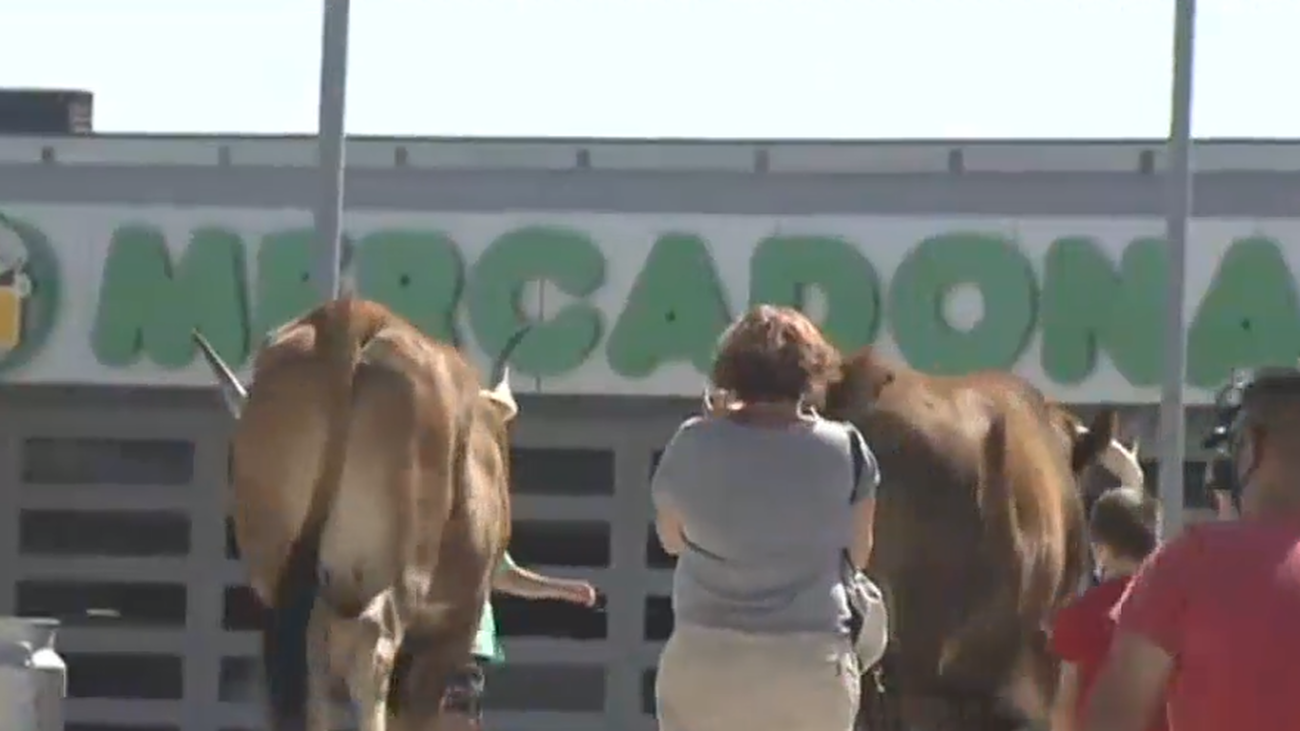 Ganaderos de Madrid llevan su protesta frente al Mercadona de Colmenar Viejo