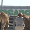 Ganaderos de Madrid llevan su protesta frente al Mercadona de Colmenar Viejo