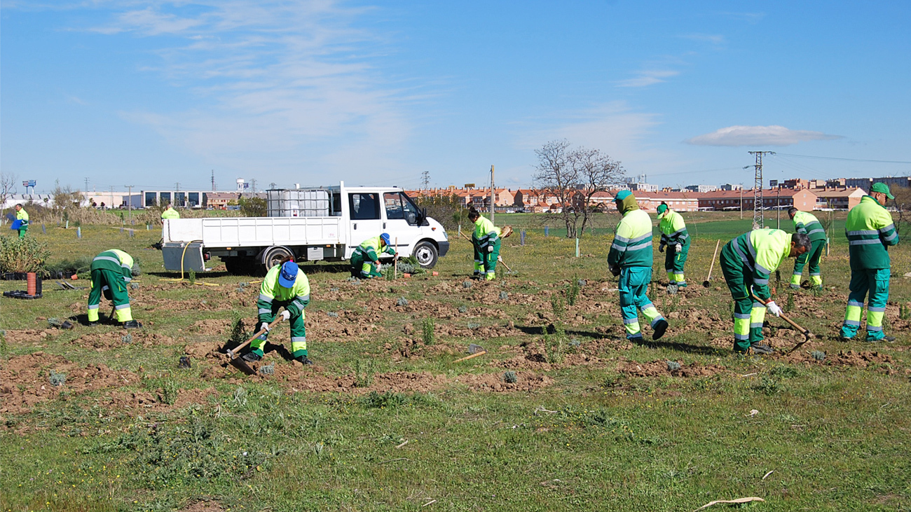 Trabajos en Parla destinados a compensar las emisiones de CO2
