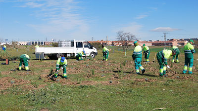 Parla logra el sello 'Huella de Carbono' en su lucha contra la emisión de CO2
