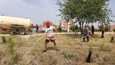 Vecinos de Campamento desafían la ola de calor para regar cientos de árboles jóvenes