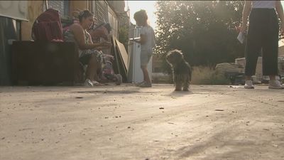 Vuelta a casa tras el incendio de una zona de pastos en Fuencarral-El Pardo