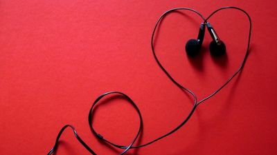 Cinco canciones sobre perros y gatos: ¿Qué artista interpreta este tema?