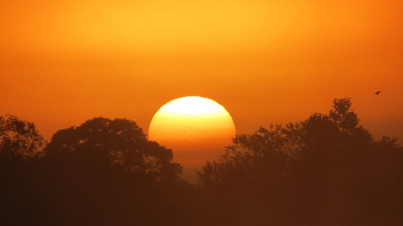 Los mejores consejos para no asarnos de calor en el coche