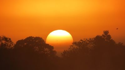 Los mejores consejos para no asarnos de calor en el coche