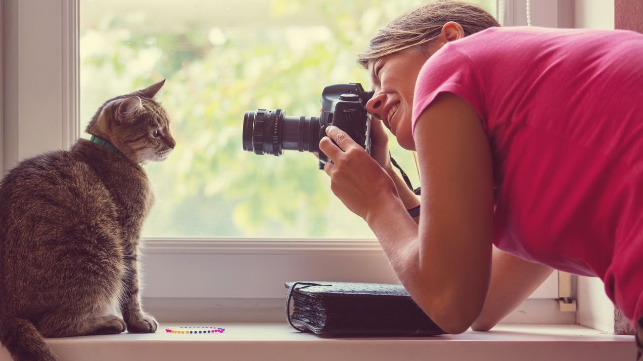 Los trabajos del certamen 'CREA Joven' de Pozuelo se podrán presentar hasta el próximo 24 de septiembre