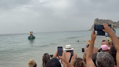 Un tiburón provoca la revolución en la playa de Benidorm