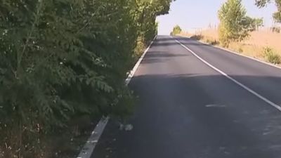 Los conductores alertan del peligro de los arbustos que invaden la carretera de Humera