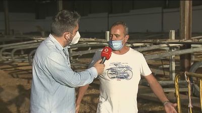 El alto precio del forraje y de la luz ahoga a los ganaderos madrileños