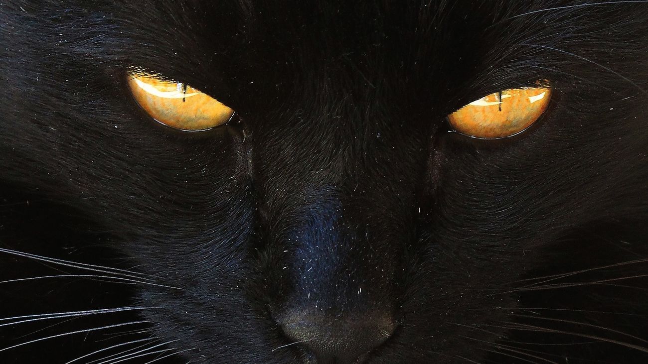 Conocemos a Tamara, una madrileña que tiene todas las supersticiones posibles