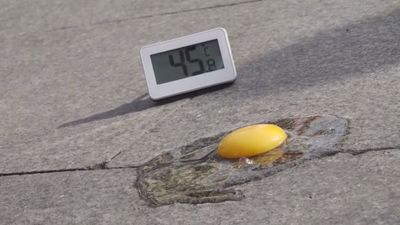 En plena ola de calor, freímos un huevo en el asfalto