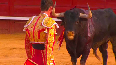 Serrano y Pacheco destacan con los encastados ‘cebadas’ en Cenicientos (2ª Parte)