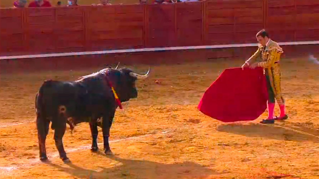 Serrano y Pachecho destacan con los encastados ‘cebadas’ en Cenicientos (1ª Parte)