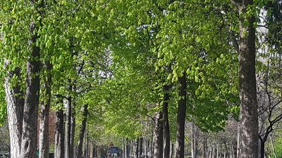 Polémica en redes sociales por el balizamiento de los parques de Madrid en la ola de calor