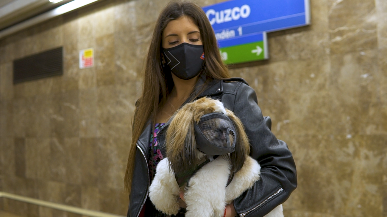 Normas para viajar con nuestras mascotas en el metro