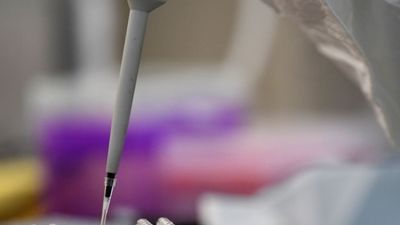 Comienza la selección de voluntarios para probar la vacuna española contra la Covid