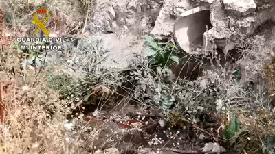 Detenido por verter sangre y otros residuos de un matadero a un arroyo de Villarejo